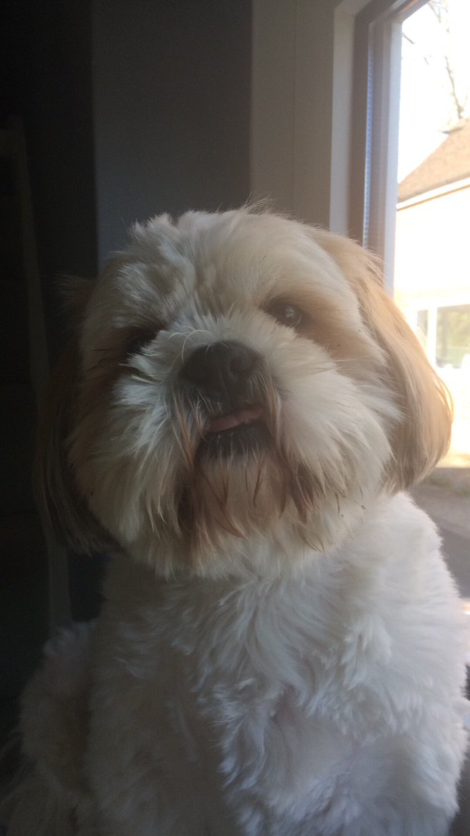 StopItGeorge's tweet photo. #TongueOutTuesday https://t.co/jaUaeELCVy