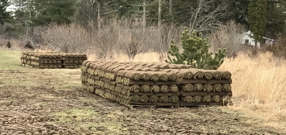 TrebroMfg's tweet photo. New Trebro TSR automatic stacking harvester going into action this spring at Kingston Turf in Rhode Island. https://t.co/SBVe3Hmmvp