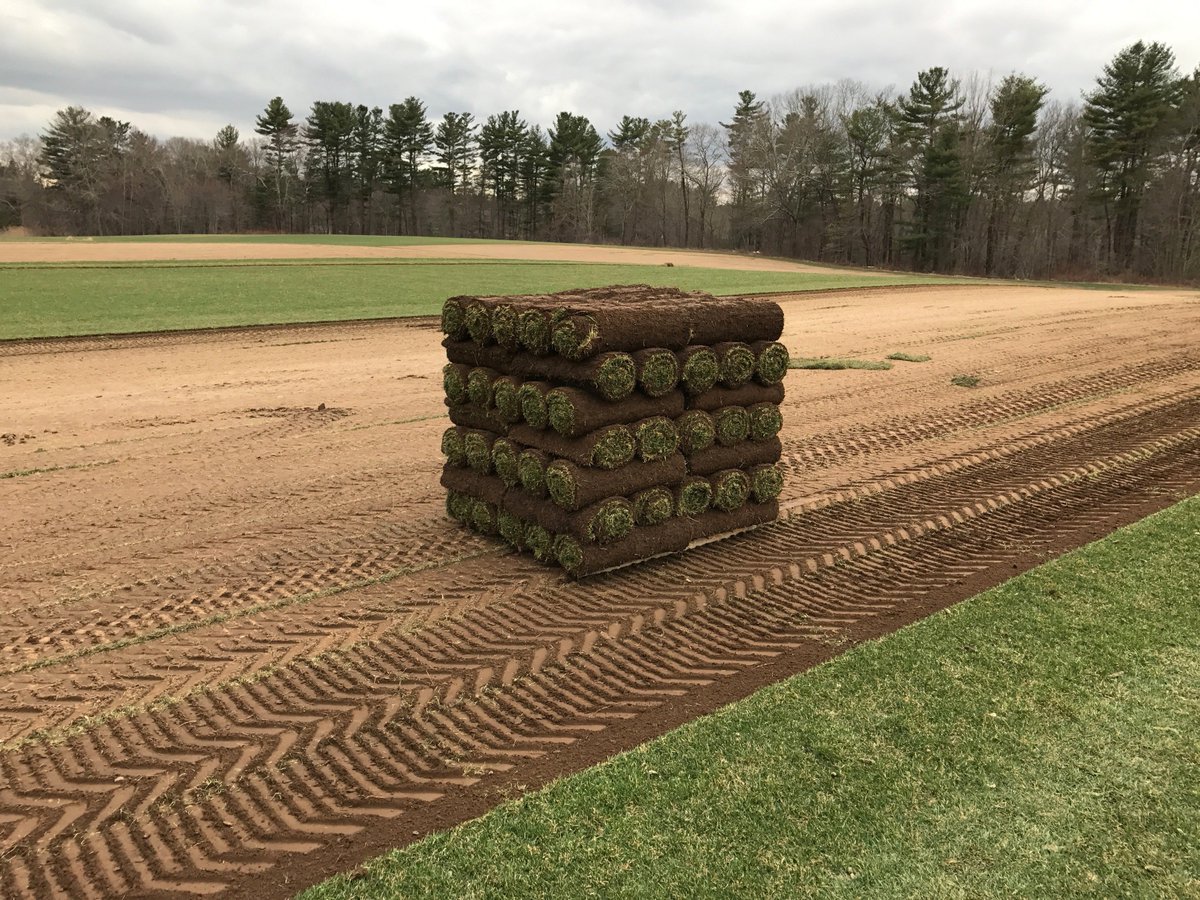 TrebroMfg's tweet photo. New Trebro TSR automatic stacking harvester going into action this spring at Kingston Turf in Rhode Island. https://t.co/SBVe3Hmmvp