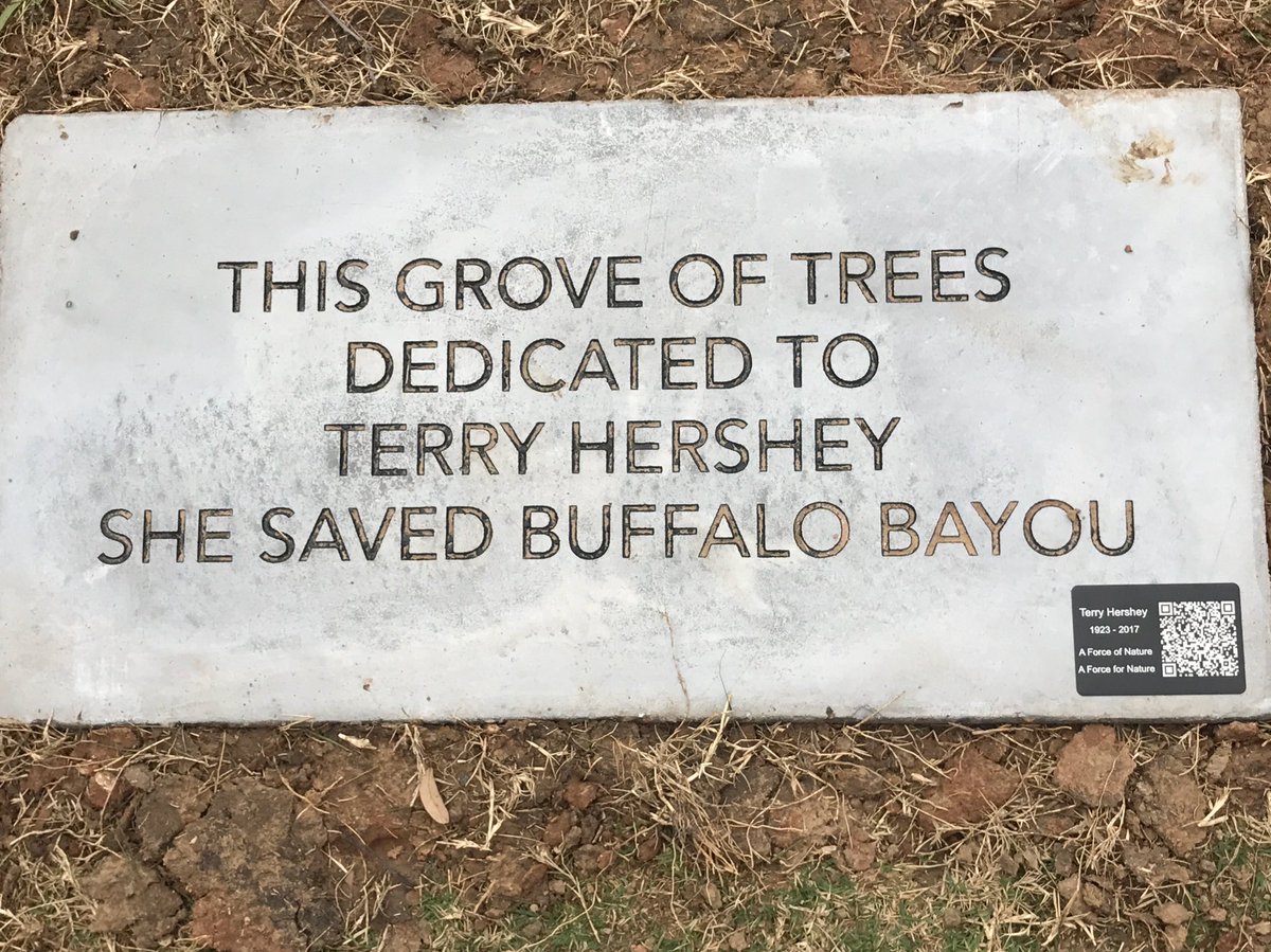 SylvesterTurner's tweet photo. This grove will forever honor #TerryHershey's legacy and impact on improving parks and green spaces in #Houston. Thank you, Terry. 🌳🌲 https://t.co/XEk6p1FMbC