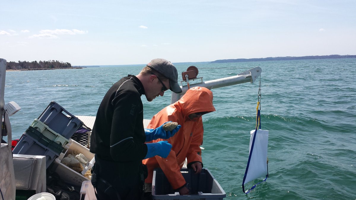 Etheostomatt's tweet photo. What goes on deep within a restored Great Lakes spawning reef? Our reef restoration team is working to find out. #scifieldwork https://t.co/ZJxbcgMI0e