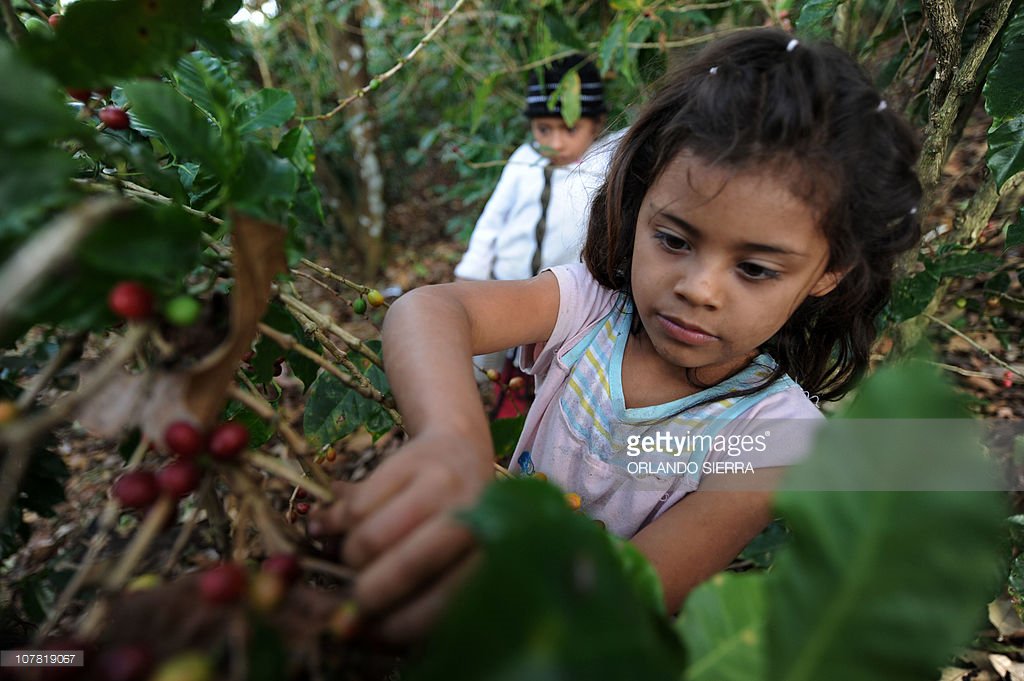ChildLaborCLC tweet picture