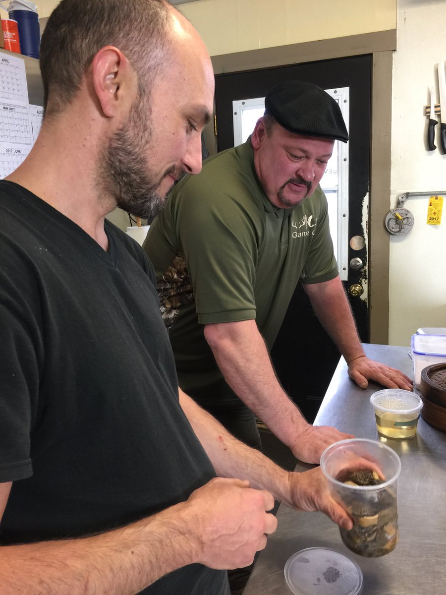 gameon74870726's tweet photo. #Revivalkitchen Chef Quintin Wicks and Shawn #gameoncooking talk about preserving techniques for Morel Mushrooms. https://t.co/tTiyqzFxQI