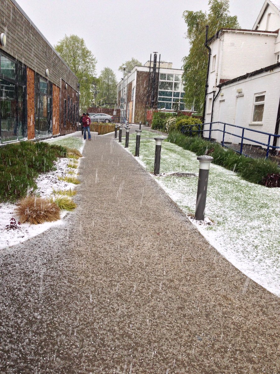 NHarrisonHortic's tweet photo. Been quite a nice day at @TrentUni Brackenhurst campus today, until this happened just as I was about to leave https://t.co/UVUw3fqTSR