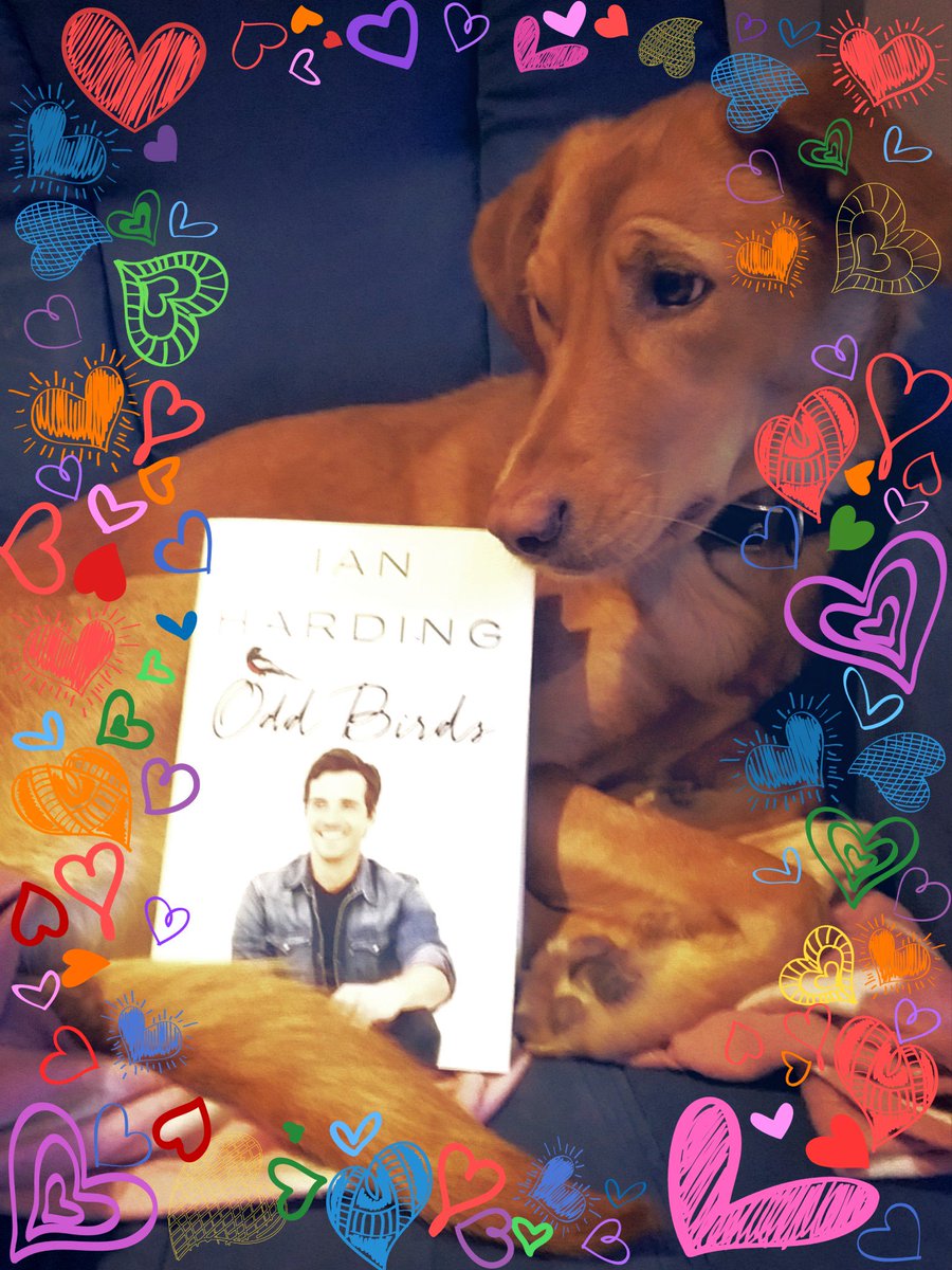 lydialle's tweet photo. @IANMHARDING Look what arrived today. A german girl is happy. Now you have to come back and sign it. Would you? :) https://t.co/nW234JUN4q