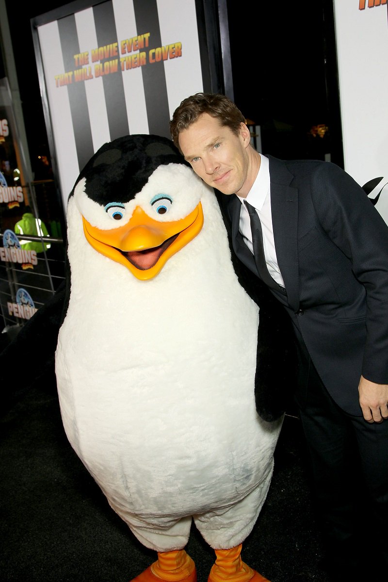 BCumberbatchMex's tweet photo. Feliz día internacional del Pingüino!Recordemos a esos seres #GorditosYBonitos en su día!#WorldPenguinDay #BCumberbatch #Pengwings #Penglins https://t.co/6qDG8noAro