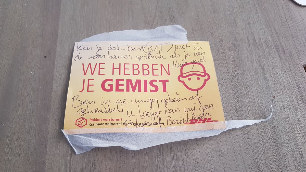 Viefjeee's tweet photo. Sorry lieve DHL-bezorger, ik zal het nooit meer doen! @DHLPaket  #killerkat #tim #🐱 https://t.co/aNqfVad2FN