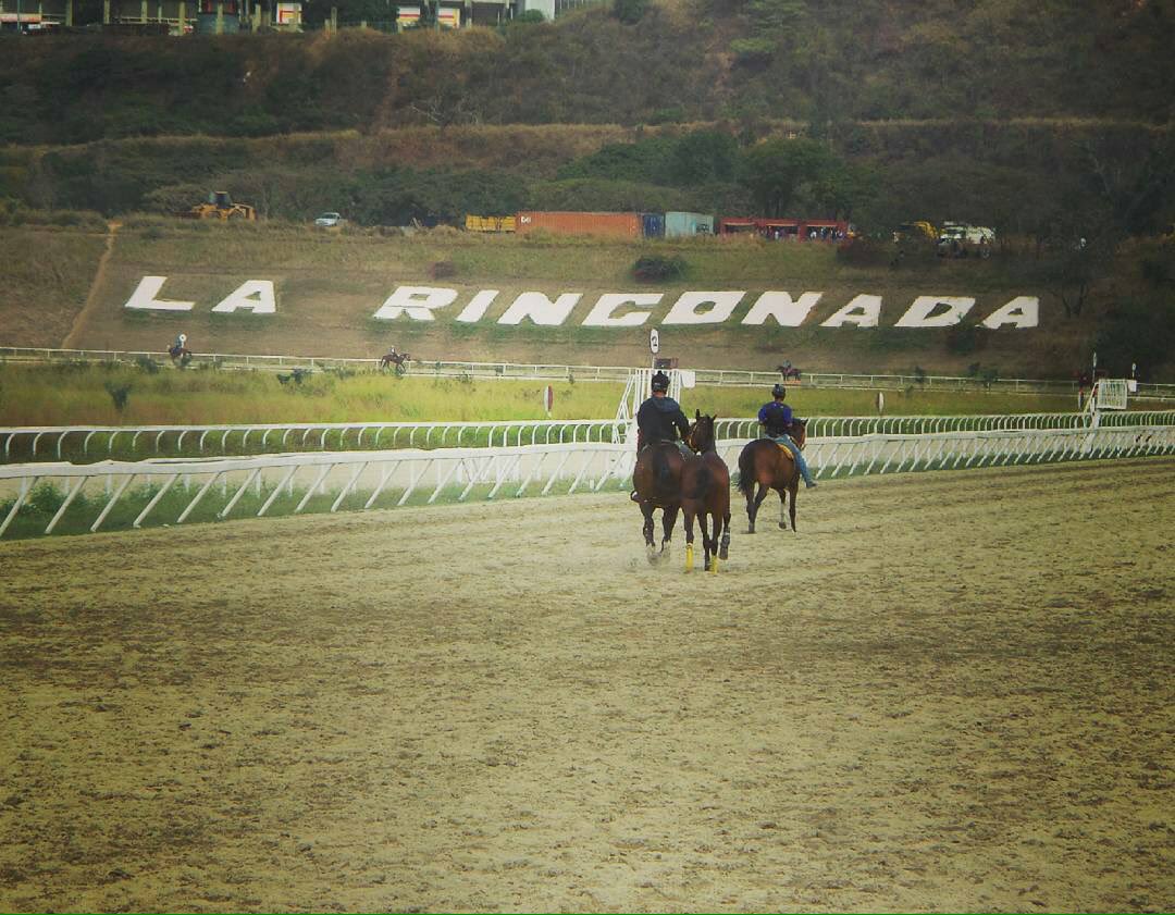 OficialINH's tweet photo. #Hipismo Pautadas 9 carreras para el día sábado 29 y otras 12 el domingo 30 de abril en el Hipódromo La Rinconada. https://t.co/QYZPDTM97H