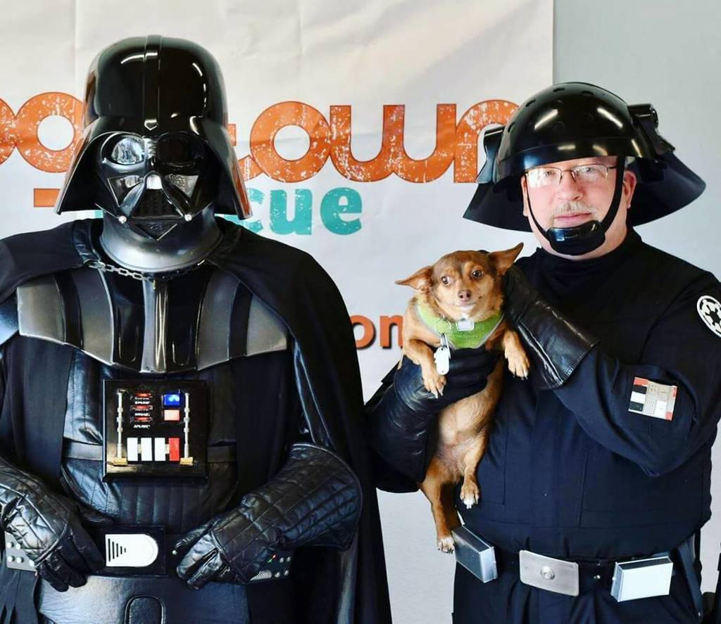 GarrisonCarida's tweet photo. Mr. Waggles isn't so sure about his new owner. #iamyourowner
#starwars #vader #darthvader #starwarscosplay #dogto… https://t.co/VwPVzq9tLQ https://t.co/Ee0y7UpEkk