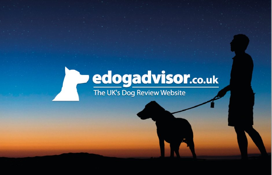 New reviews aplenty including <a href="/SneydsWonderdog/">Sneyd's Wonderfeeds</a> <a href="/AkelaWholePrey/">Akela WholePrey</a> <a href="/wheels4dogs/">Wheels4dogs</a> &amp; <a href="/CastleHotelLtd/">Castle Hotel Conwy</a> edogadvisor.co.uk #dog #dogs