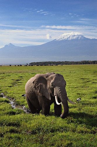 MarissaaaB_'s tweet photo. I still can't believe that I get to experience this part of our Earth in a few months. https://t.co/3fDc4kiajW