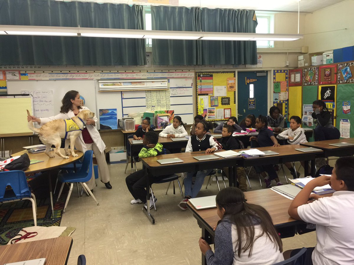 NAY3607's tweet photo. Encouraging STEM professions with SIPP! #kidsloveanimals they acted as if they never seen a dog before lol https://t.co/klHXhFInkf