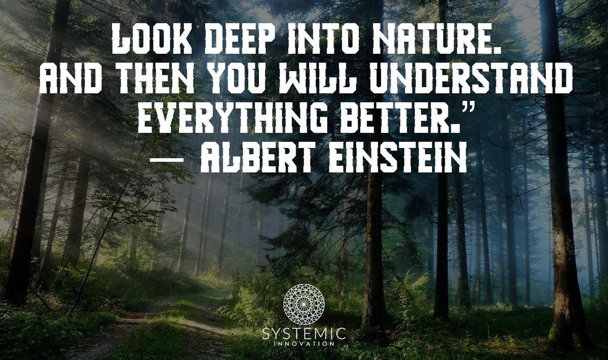 y_adonai's tweet photo. "Look deep into nature. Then you will understand everything better." -Albert Einstein #biomimicry https://t.co/rUUinjmBtG https://t.co/hj8iS1Oyf7