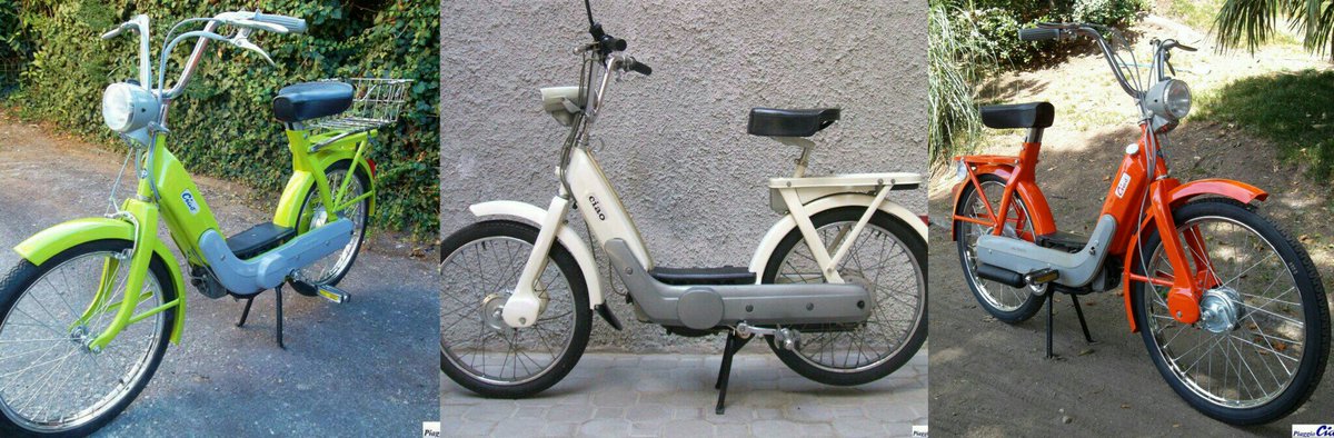 jackmaltese tweet media