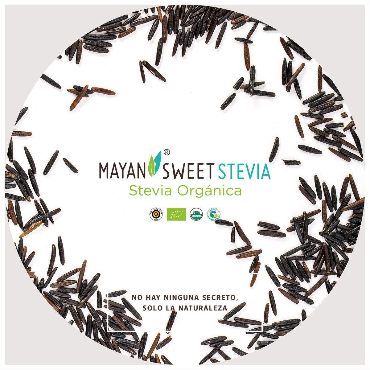 MayanStevia's tweet photo. En la naturaleza está el secreto.
come sanamente https://t.co/hJP4ucWPII