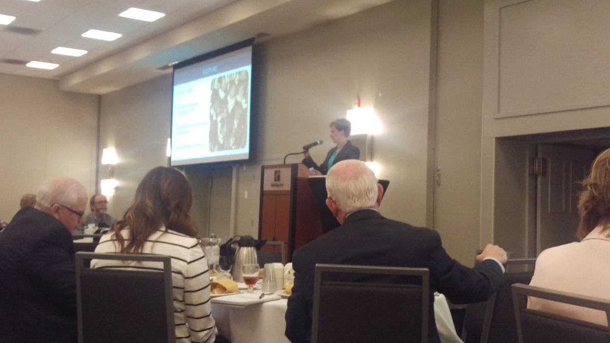 JessicaTInND's tweet photo. Internships R a key 2 growing community workforce. @LSSND is committed 2 cultivating meaningful employer/student connections! #fargointerns https://t.co/NMKeT075mU