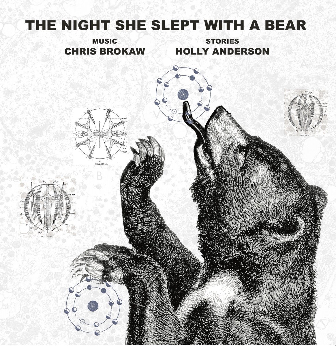 JellyFant's tweet photo. Out April 28th: CHRIS BROKAW &amp; HOLLY ANDERSON "THE NIGHT SHE SLEPT WITH A BEAR" on vinyl. Free shipping til May 6th! https://t.co/5ZrC6OSdyb https://t.co/MX1mFivzVR