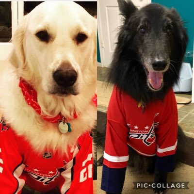 TinaBMD's tweet photo. Cuter than penguins! #nationalpenguinday #Webelieve #TeamIceStorm #RocktheRed @Capitals @NHL @NHLonNBCSports @HayleyMilon #BecauseItsTheCup https://t.co/9GHcVkcKGe