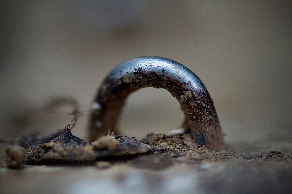 ayearupclose's tweet photo. "Humpback"
#500pxrtg #Macro #Canon7D #ayearupclose #lifestory #macrodaily #macrophotography #macro_mood #macro_shot
#Metal #Unail https://t.co/RKro7zfBSS
