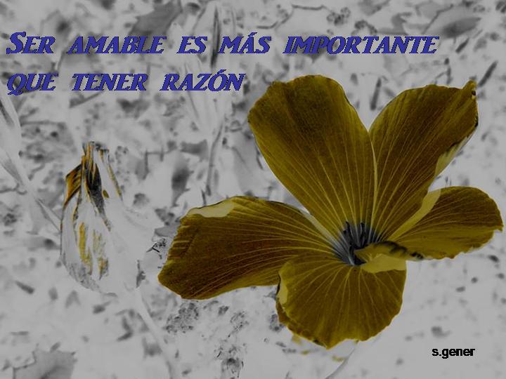 Reikiytu's tweet photo. ¿Qué prefieres, ser #feliz o tener razón? #desarrollopersonal #Meditacion #relajación #terapiascomplementarias https://t.co/UeQVsSDMn3