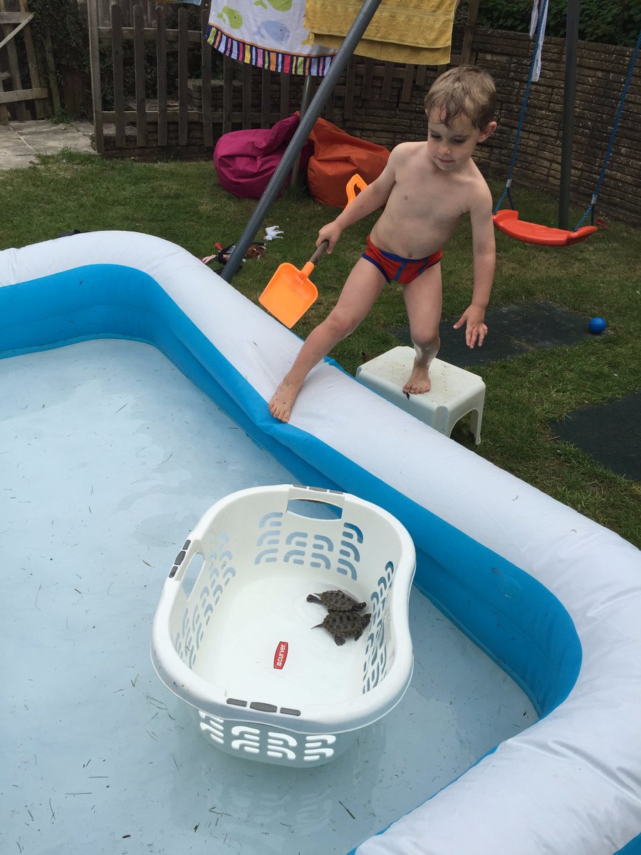 coretex_think's tweet image. Boy and turtles - prepare to be boarded