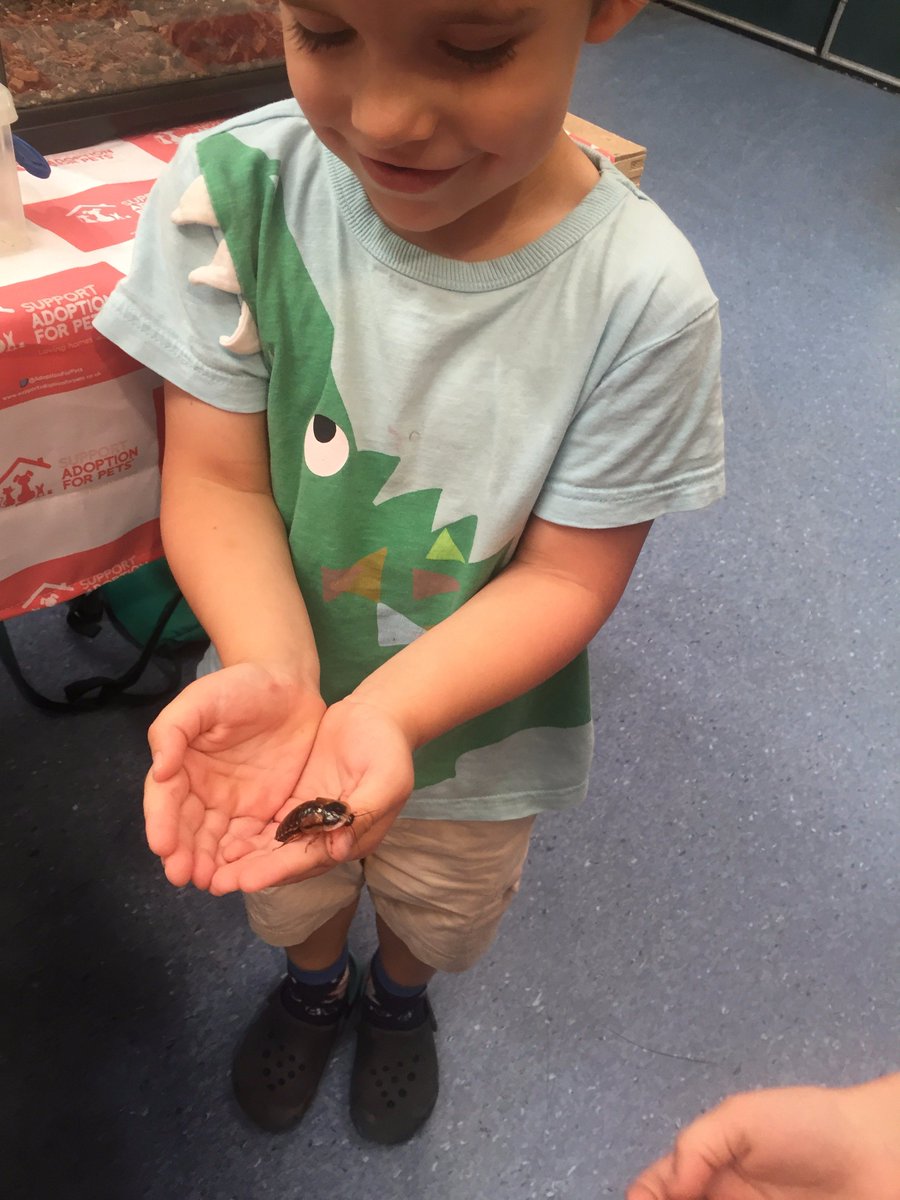 coretex_think's tweet image. Boy and cockroach