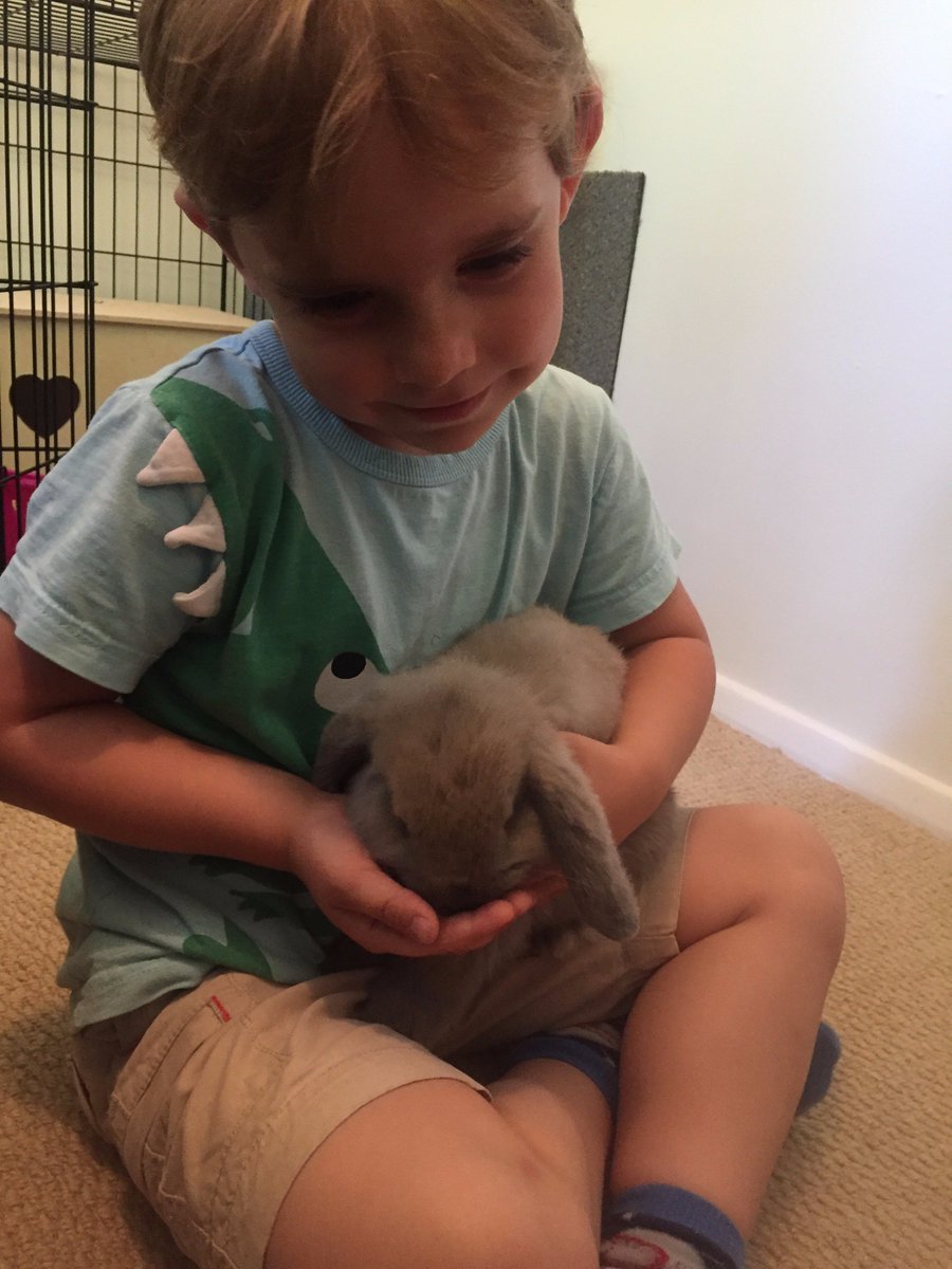 coretex_think's tweet image. Boy and rabbit