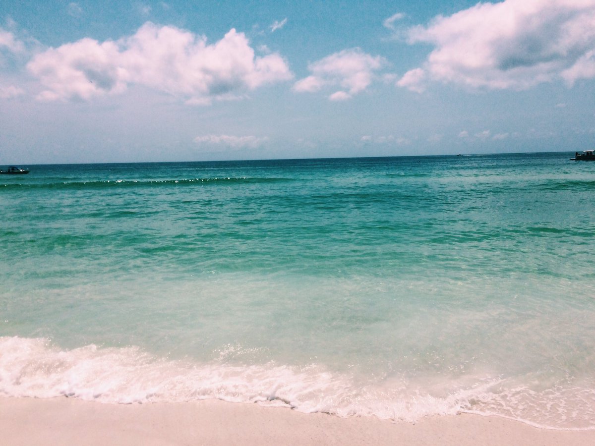 HavenMcCoy's tweet photo. currently studying for finals but would MUCH rather be back in florida. this past weekend was one for the books! 🌊 https://t.co/ptTuN6DmNq