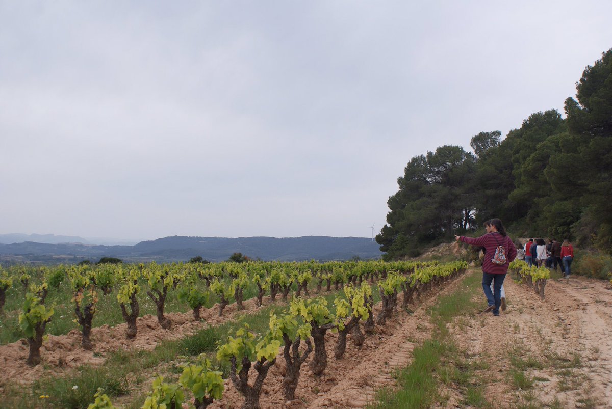 CBarbaraFores's tweet photo. Fotos #tastdeprimavera #lasendroseta
Propera data 30 abril ~ viu la experiència de tastar entre les vinyes 🌿🍷🍇
https://t.co/YecMTVDity https://t.co/8nOHFoVzPa