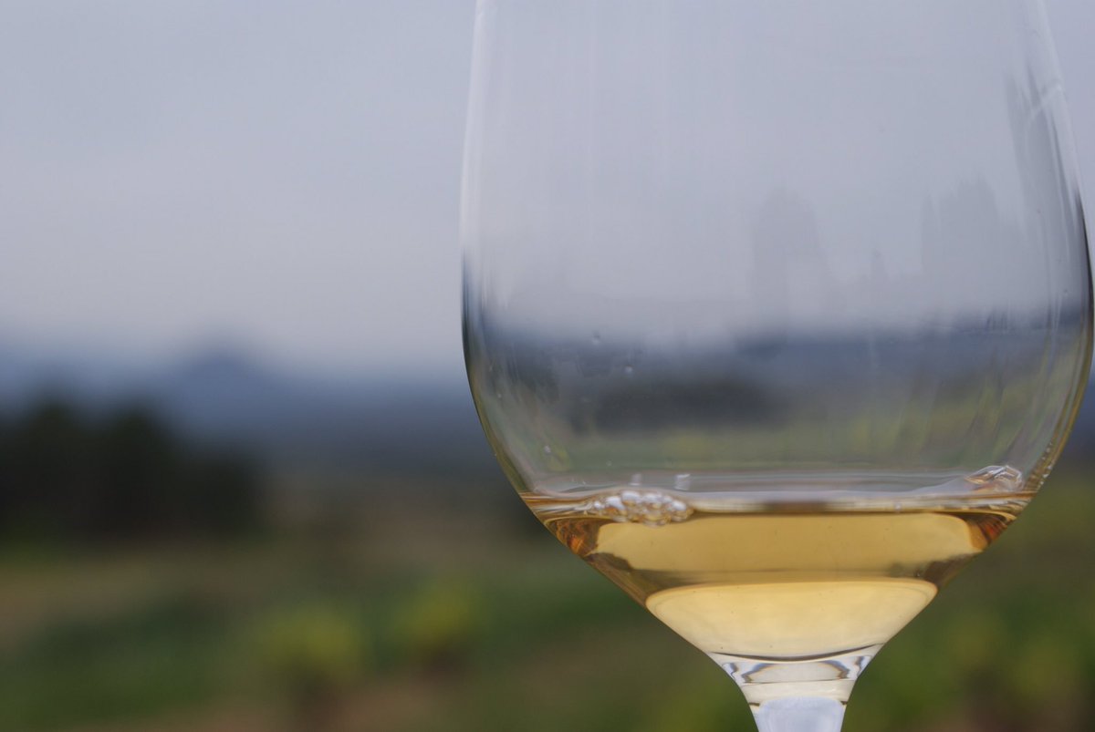 CBarbaraFores's tweet photo. Fotos #tastdeprimavera #lasendroseta
Propera data 30 abril ~ viu la experiència de tastar entre les vinyes 🌿🍷🍇
https://t.co/YecMTVDity https://t.co/8nOHFoVzPa