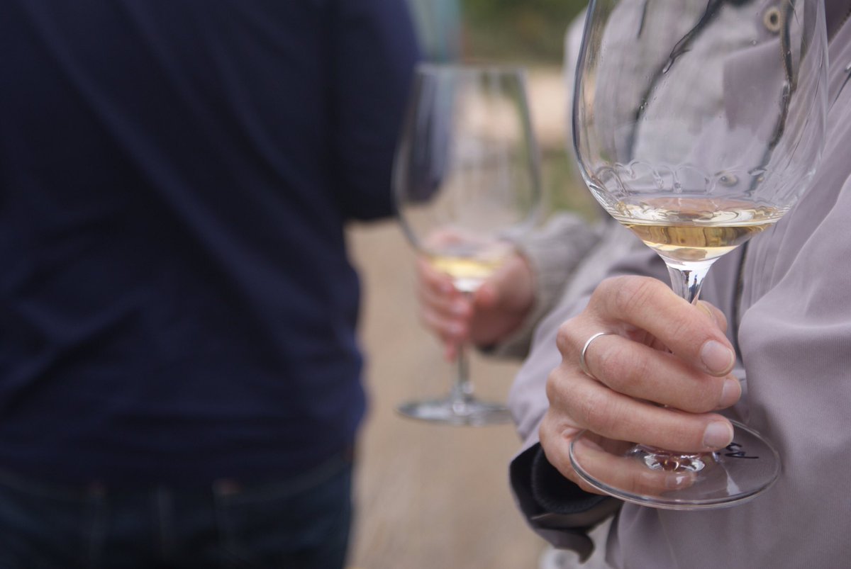 CBarbaraFores's tweet photo. Fotos #tastdeprimavera #lasendroseta
Propera data 30 abril ~ viu la experiència de tastar entre les vinyes 🌿🍷🍇
https://t.co/YecMTVDity https://t.co/8nOHFoVzPa