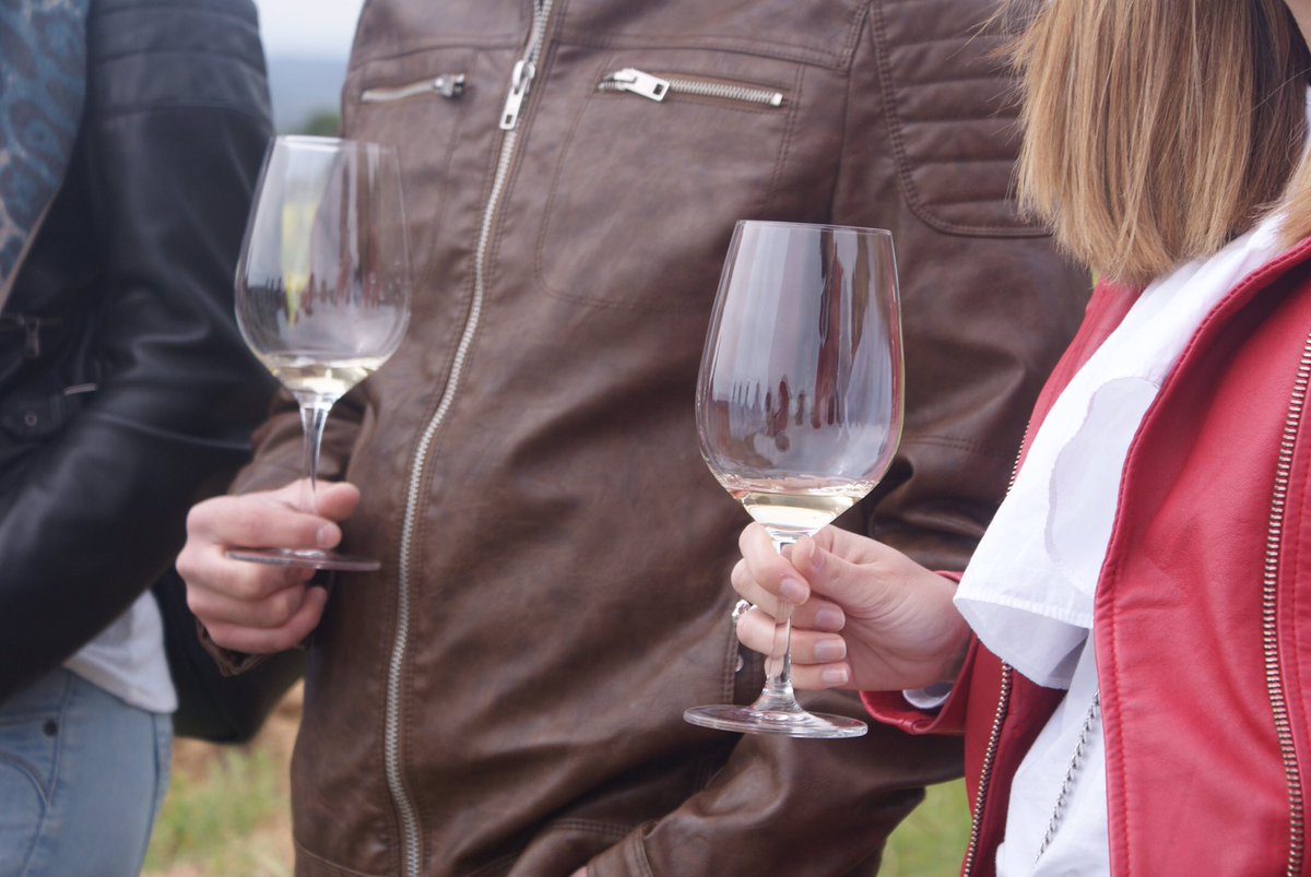 CBarbaraFores's tweet photo. Fotos #tastdeprimavera #lasendroseta
Propera data 30 abril ~ viu la experiència de tastar entre les vinyes 🌿🍷🍇
https://t.co/YecMTVDity https://t.co/8nOHFoVzPa