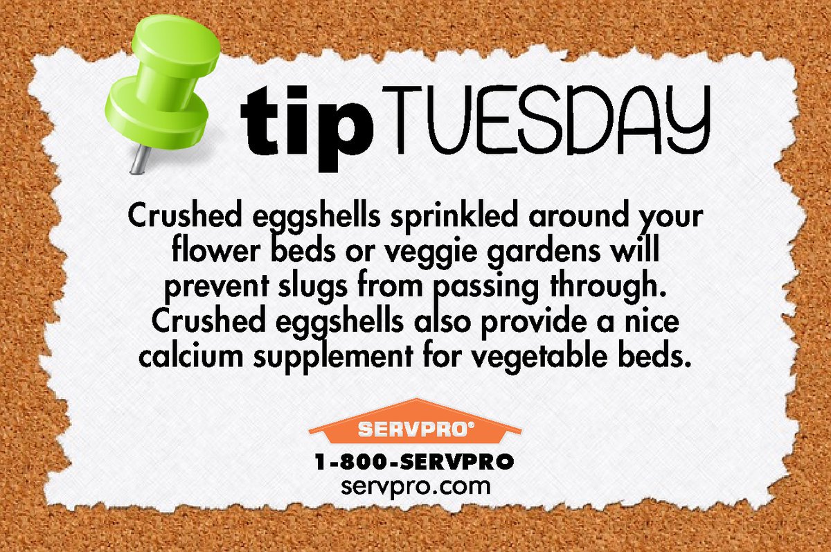 #TipTuesday Recycle egg shells from your egg salad to keep your gardens beautiful &amp; slug free! #Tuesday #SERVPRO #Upland #Egg #Shells #Salad
