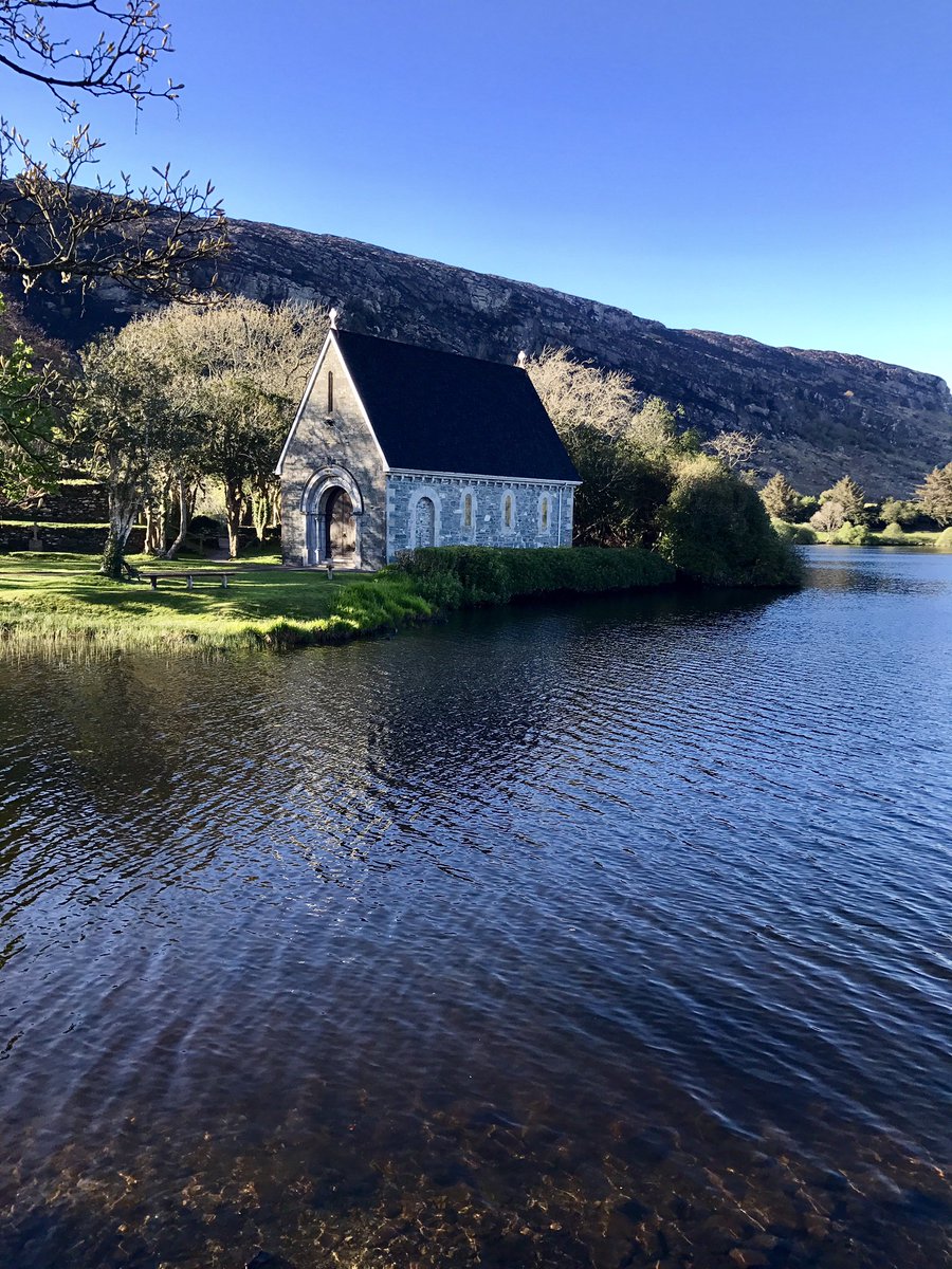 gouganebarra's tweet photo. Calmness Restored! https://t.co/LOGqWiZOJW