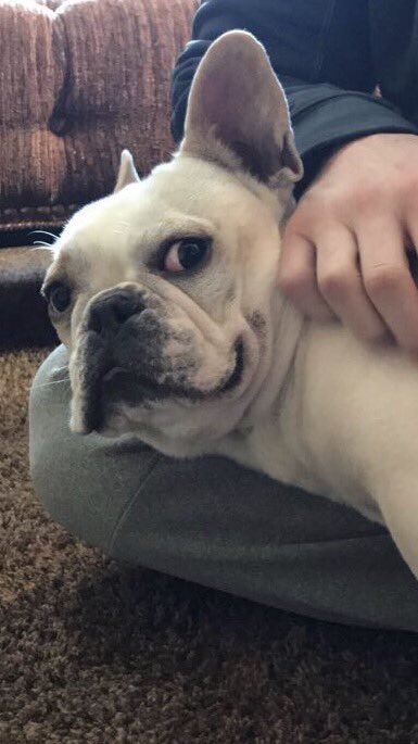 ajbaroffio's tweet photo. When everyone keeps saying you HAVE to graduate and move out in two weeks :/ https://t.co/2Z7p68kJix