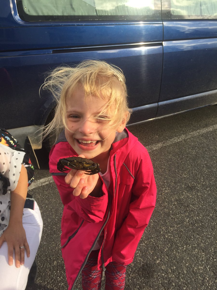 coretex_think's tweet image. Katherine and crab