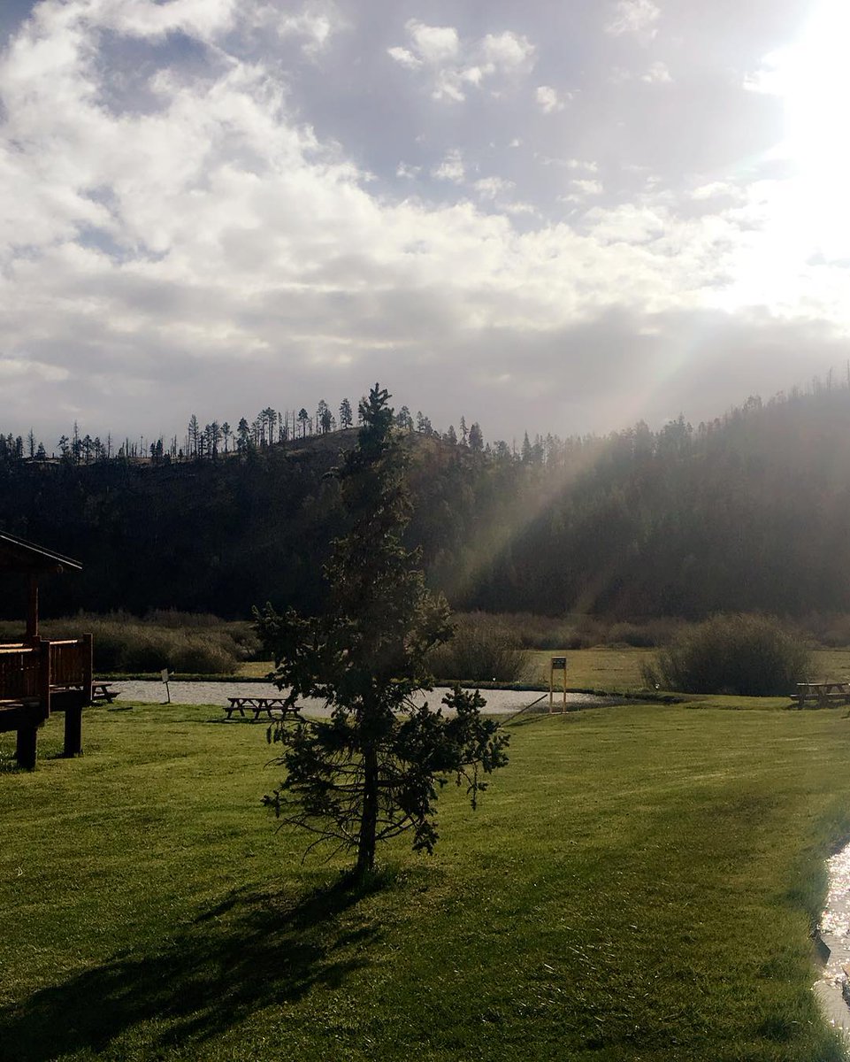 greerlodge's tweet photo. Fresh mountain air and a Greer sunrise. ๐๐ #greerarizona #greerlodge #naturebeauty #escape #getaway https://t.co/0VPm8N43Ll