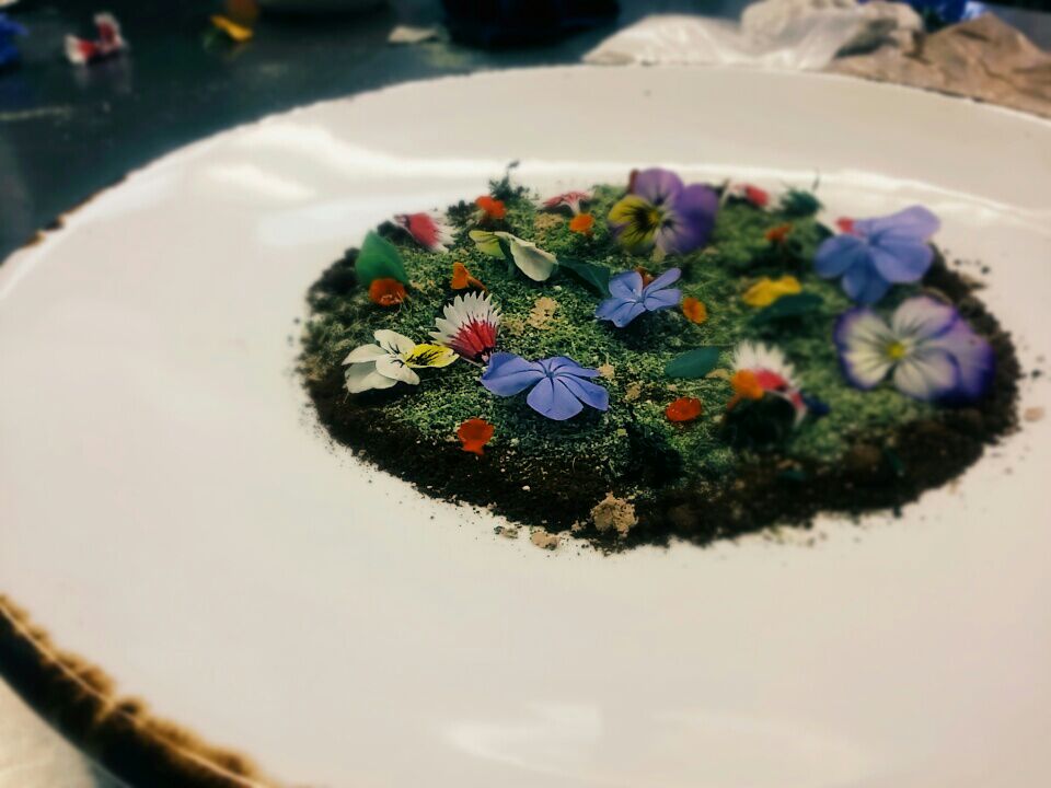 osba51's tweet photo. Jardin de flores 🔪🌷🌼🌸🌻 https://t.co/F4rY734obJ