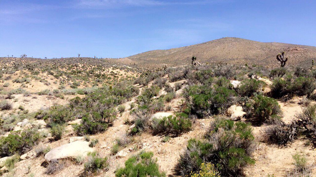 AbaloneAtif's tweet photo. Take me back! #oxybirds https://t.co/spc8IWte1p