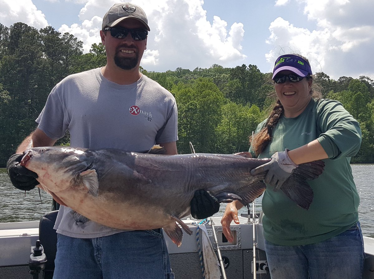 Maximum Catfishing tweet media