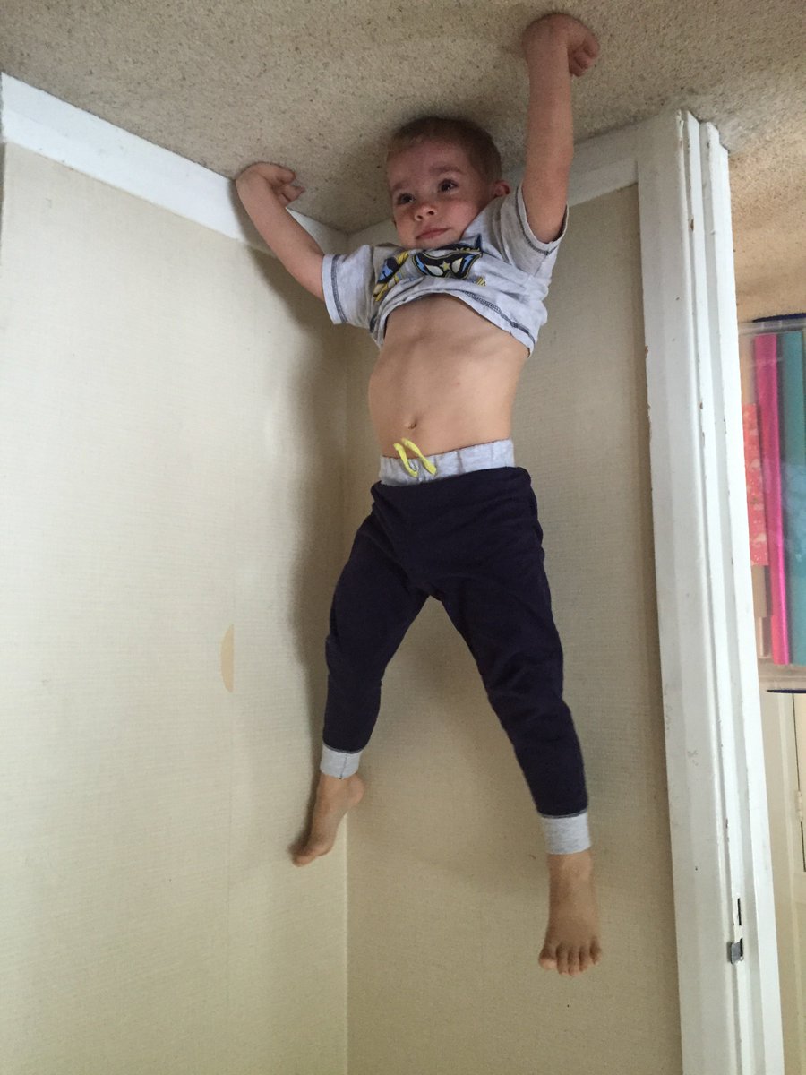 coretex_think's tweet image. Stuck to the ceiling