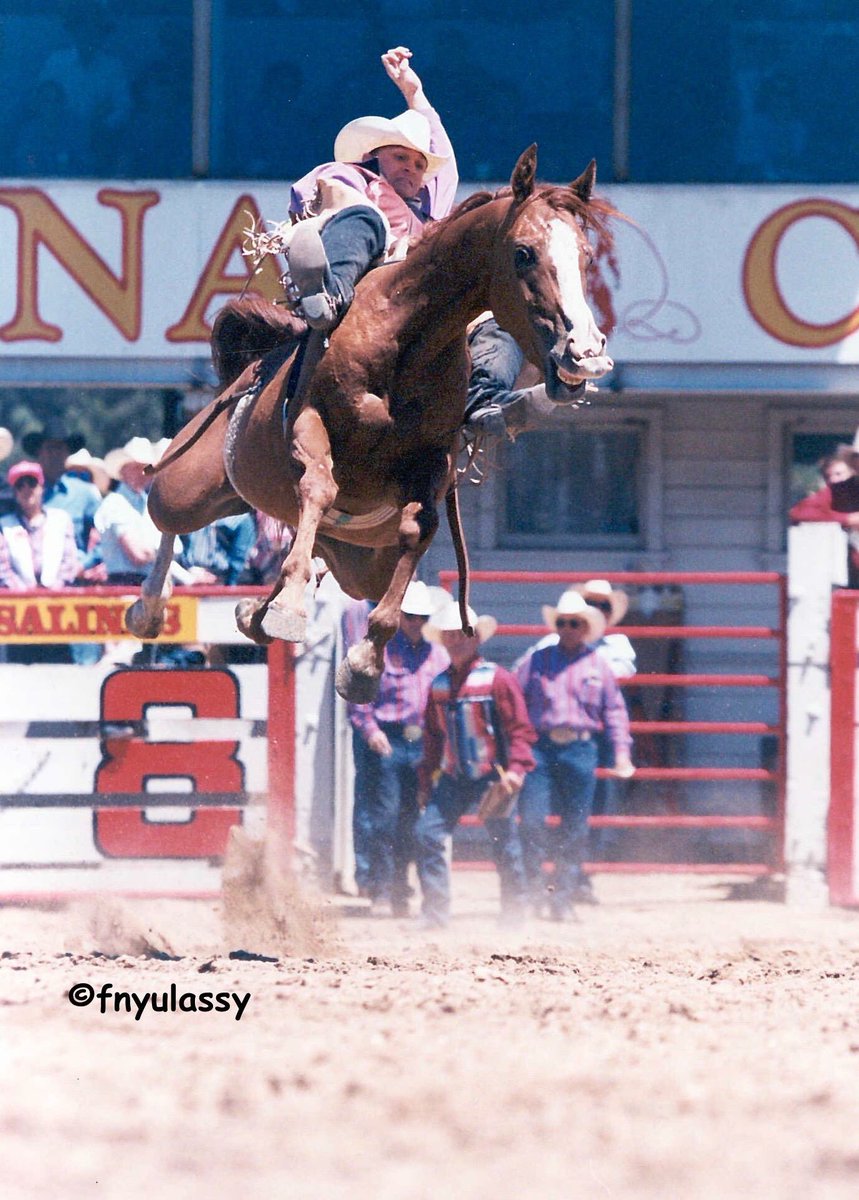 Cool shot Fred Nyulassy took of me in Salinas!