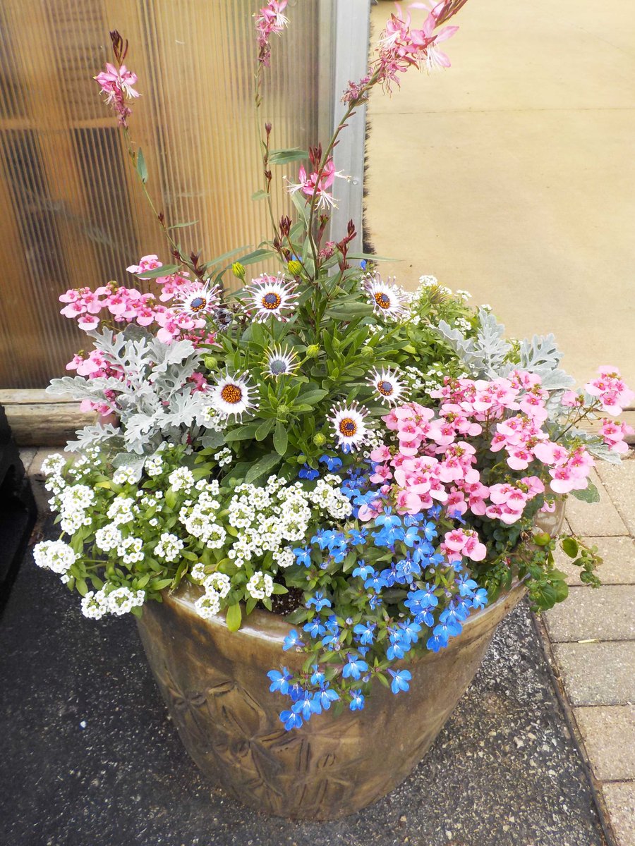 KnupperNursery's tweet image. Stop in Thursday Apr. 27 at 1pm or Sat. Apr. 29 at 9 am for our Creative Container Gardening seminars. Get inspired! #creativecontainers