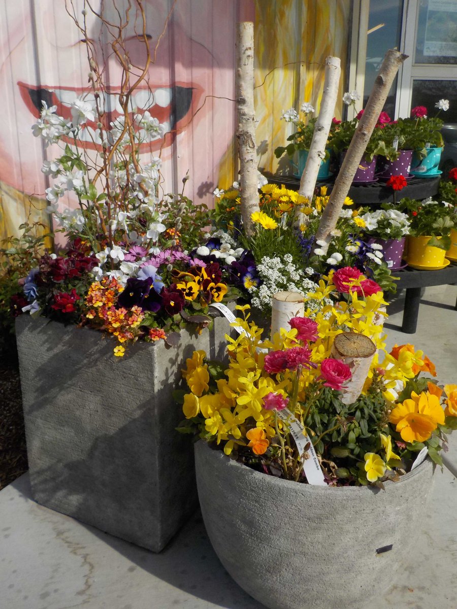 KnupperNursery's tweet image. Stop in Thursday Apr. 27 at 1pm or Sat. Apr. 29 at 9 am for our Creative Container Gardening seminars. Get inspired! #creativecontainers