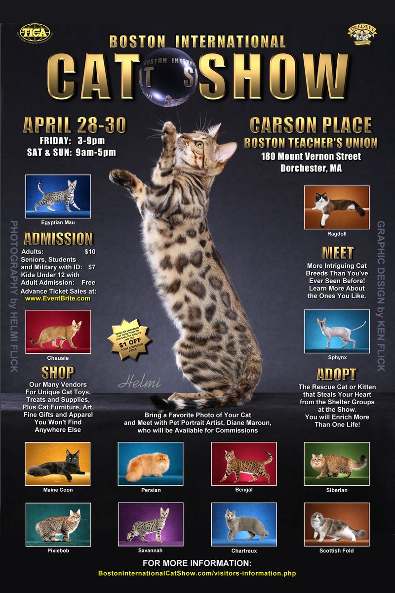 Bostoncatshow's tweet photo. @mydorchester Boston International Cat Show presenting Cats and Kittens pussy-footing around April 28-30 Boston Teachers Union. Come join us https://t.co/rmlYV43mFr