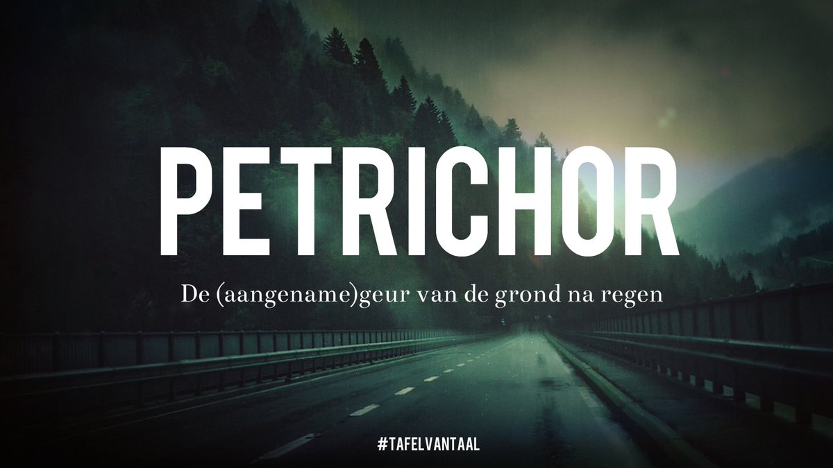 TafelvanTaal's tweet photo. We zijn best wel een beetje verliefd op het woord #petrichor ❤ #tafelvantaal https://t.co/PxvcWZgQWN