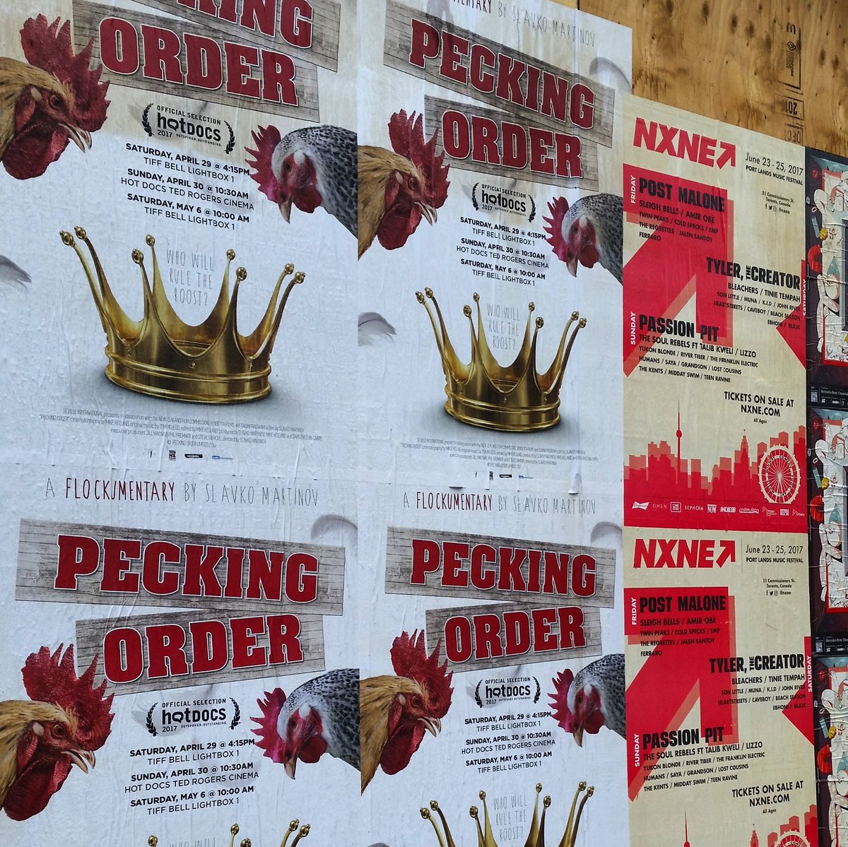 TouchwoodPR's tweet photo. Flock to #NXNE 👀🐔↗ #whenclientscollide #festivals #Toronto #hotdocs17 #playnorth @PeckingOrderPic  @nxne @hotdocs https://t.co/BzyqoZJm0s