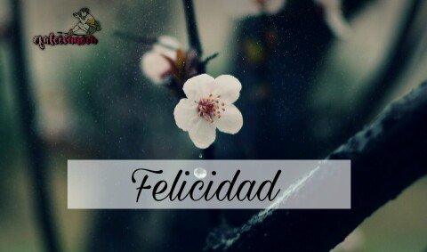 cfaleivanova's tweet photo. Tenemos que iniciar el día con una sonrisa, ya que así tu felicidad iluminará a los que te rodean 🌸
¡Feliz Martes #Ivanovers! 🌞 https://t.co/6Jrc4U4PMk