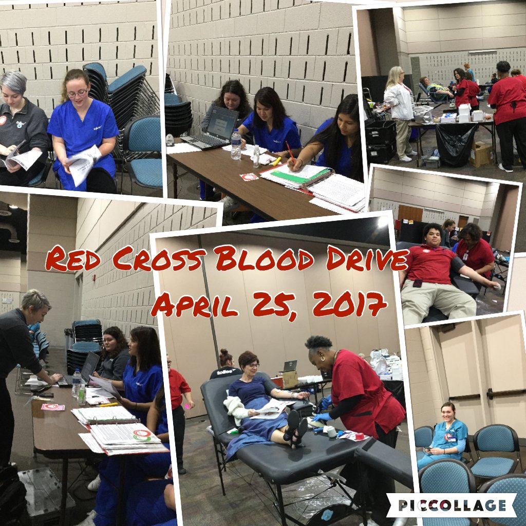 GTexler's tweet photo. April 25, 2017 #piccollage https://t.co/FFOKE7HcR5 https://t.co/JZC09sspAv