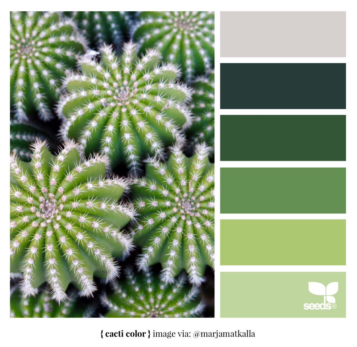 shayfrom_thebay's tweet image. Color Palette of The Day: Cacti Color #DesignSeeds #Color